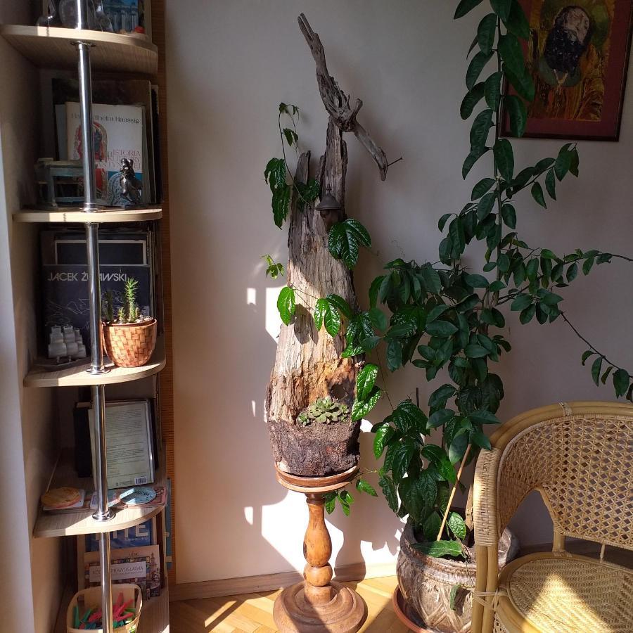 Wakacje Nad Morzem Gdańsk Extérieur photo