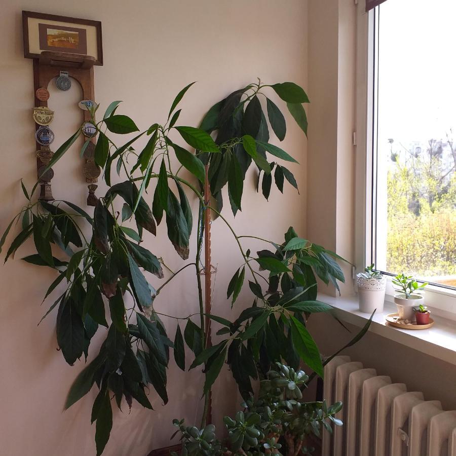 Wakacje Nad Morzem Gdańsk Extérieur photo